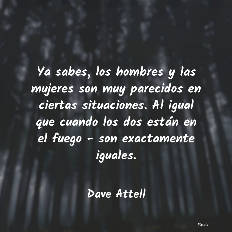 frases de Dave Attell