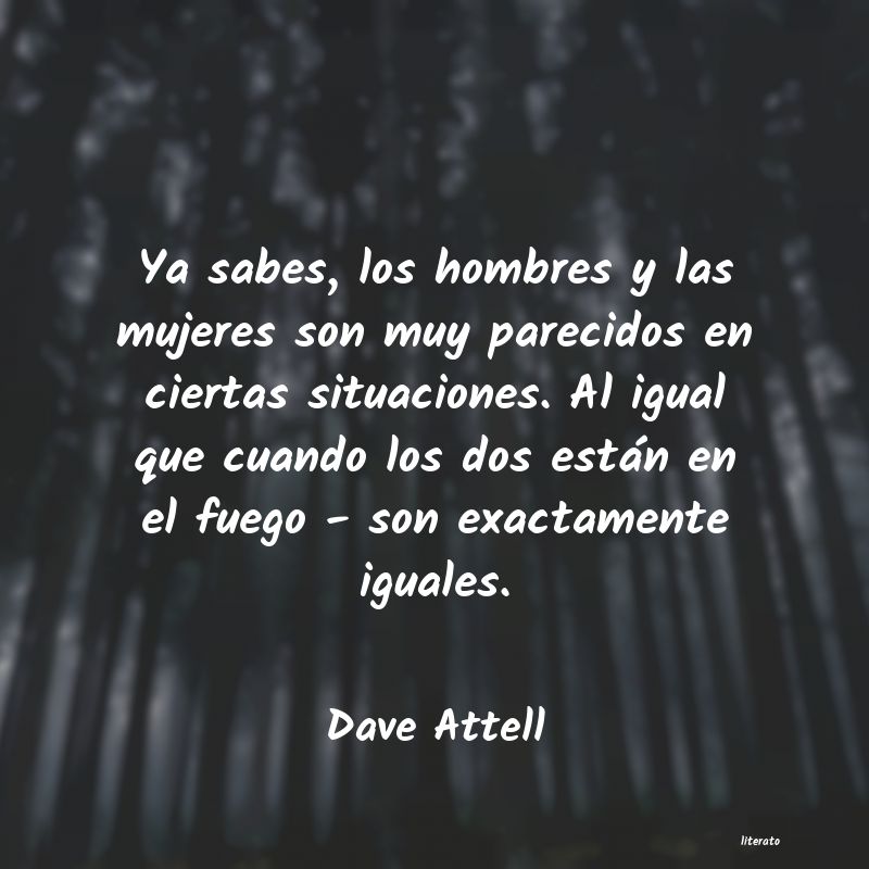 Frases de Dave Attell