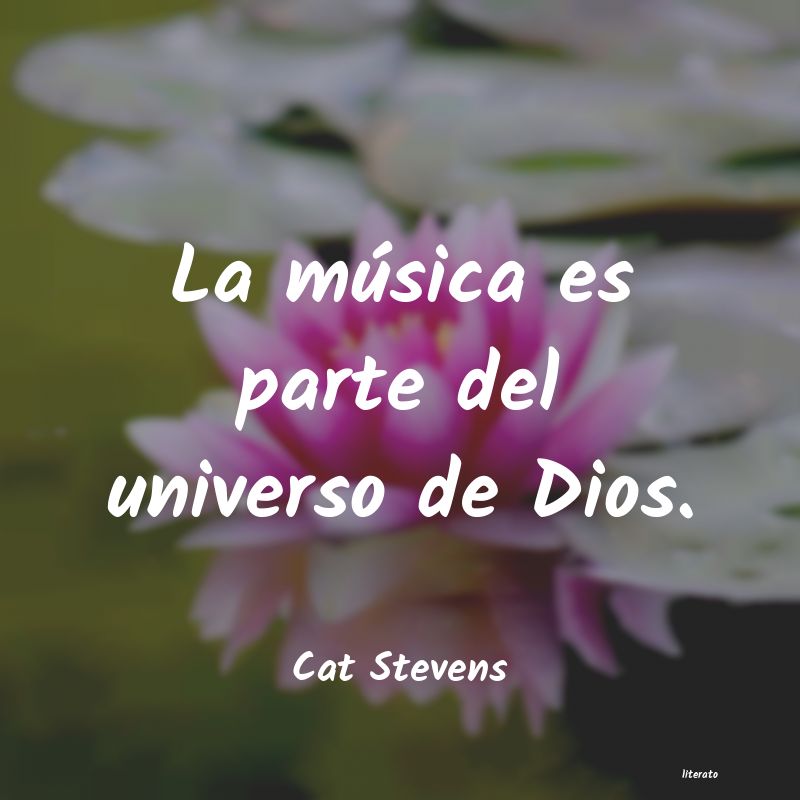 frases de Cat Stevens