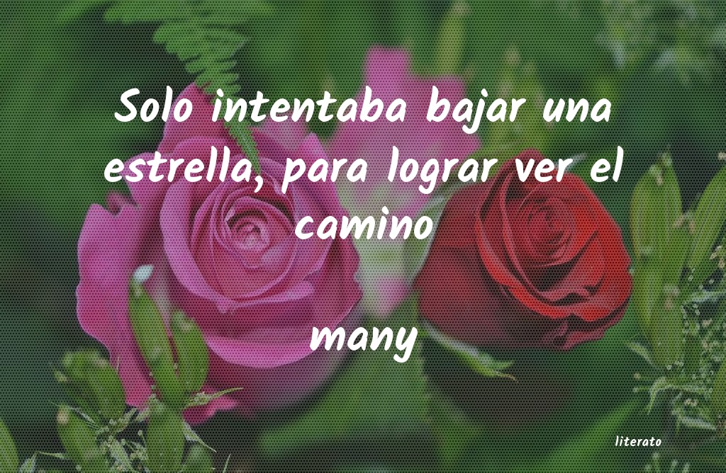 frases de many