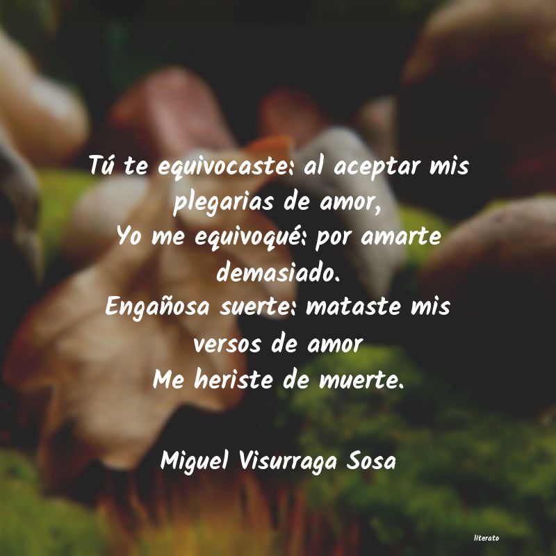 frases de Miguel Visurraga Sosa