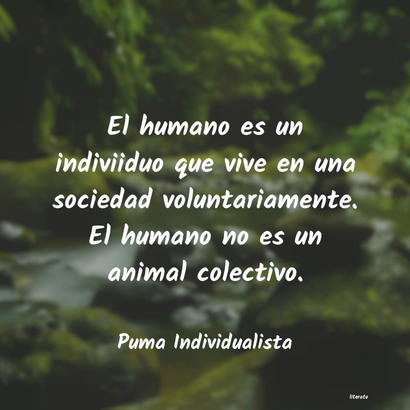 Frases de Puma Individualista