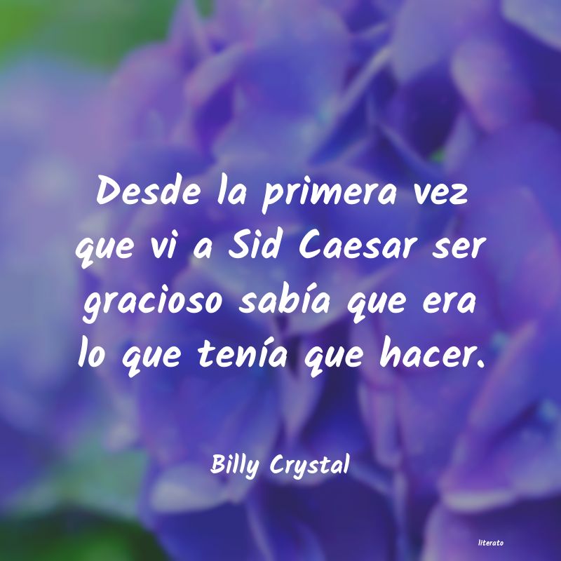 Frases de Billy Crystal