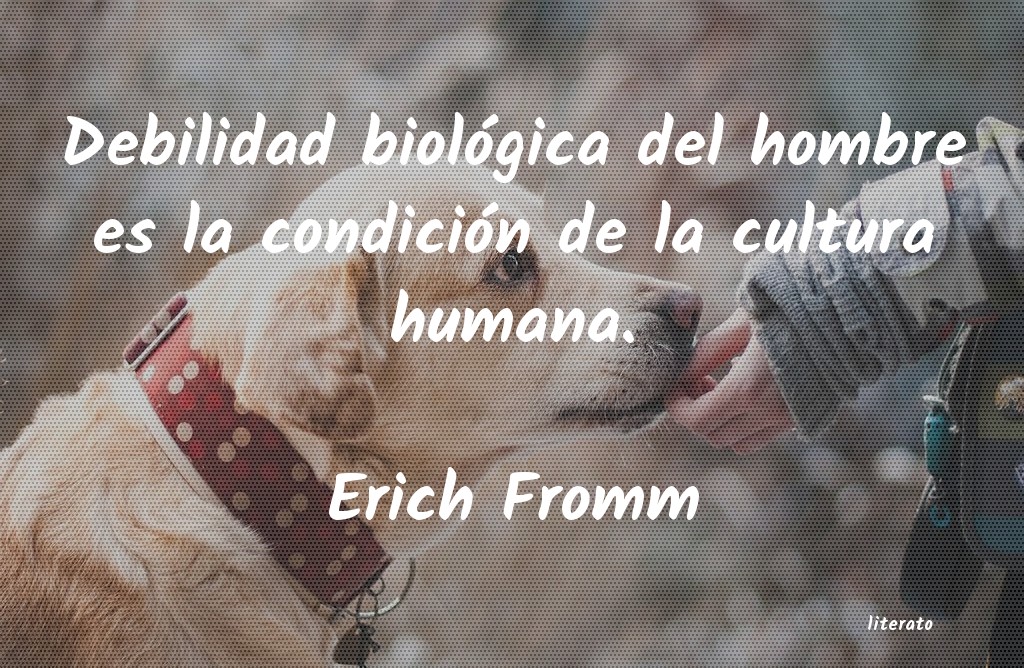 Frases de Erich Fromm