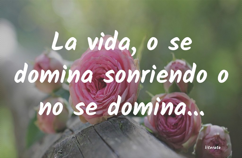 frases