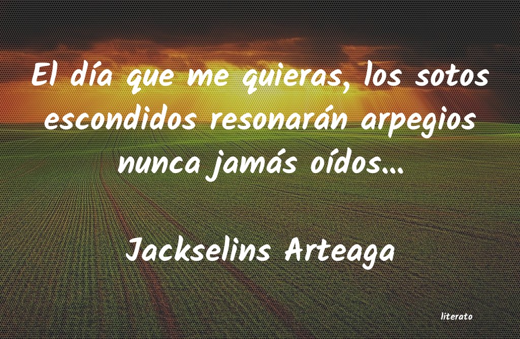 frases de Jackselins Arteaga