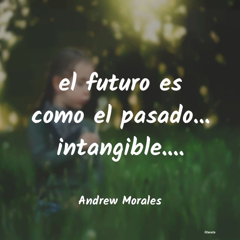 Frases de Andrew Morales