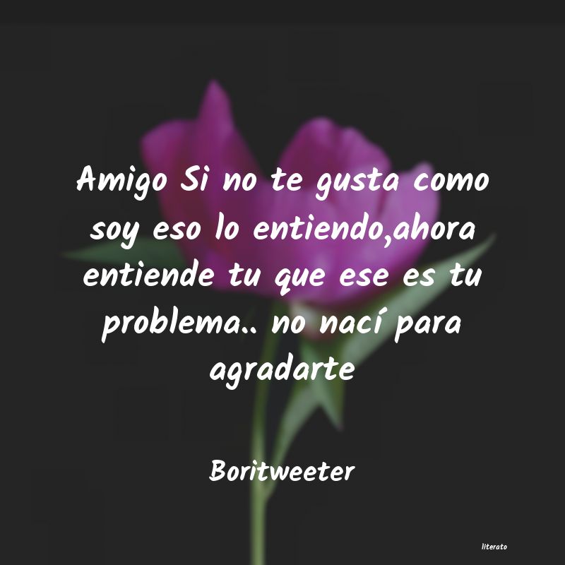 Boritweeter: Amigo Si no te gusta como soy