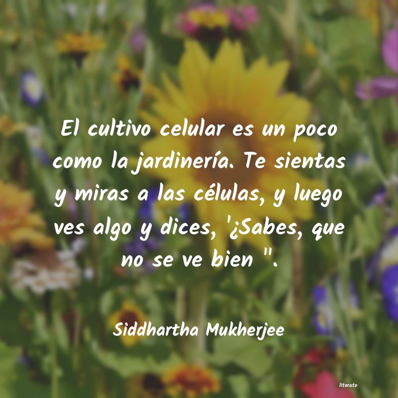 Frases de Siddhartha Mukherjee