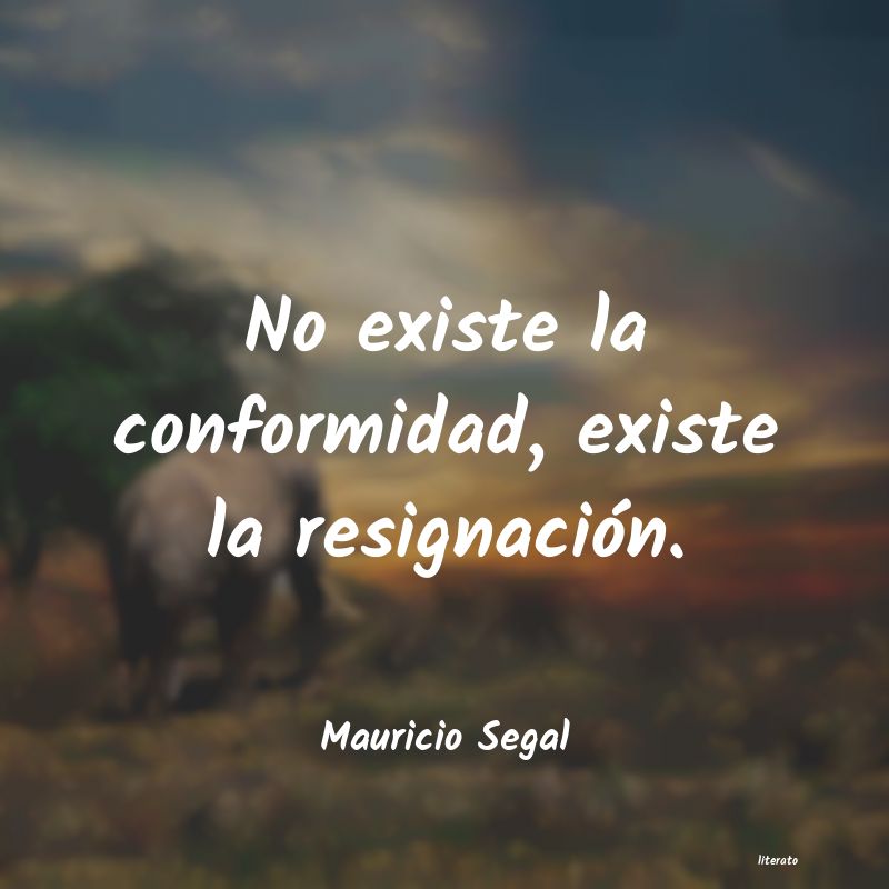 frases de Mauricio Segal