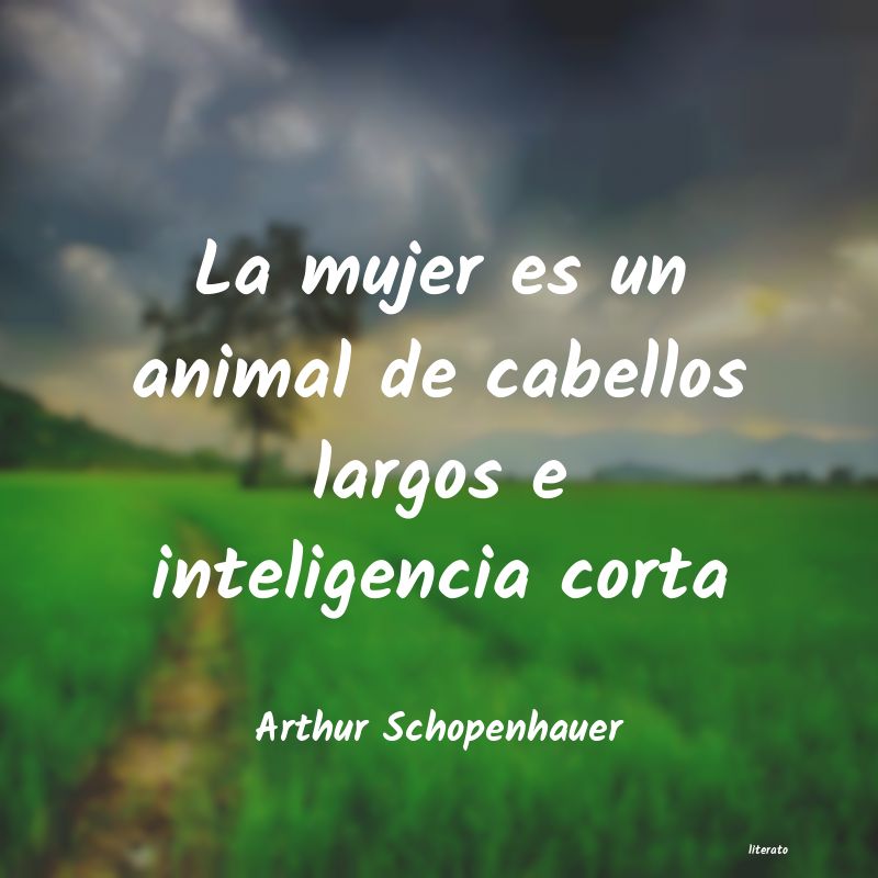 Frases de Arthur Schopenhauer