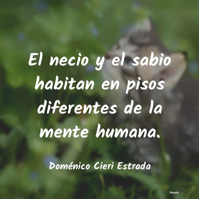 Frases de Doménico Cieri Estrada