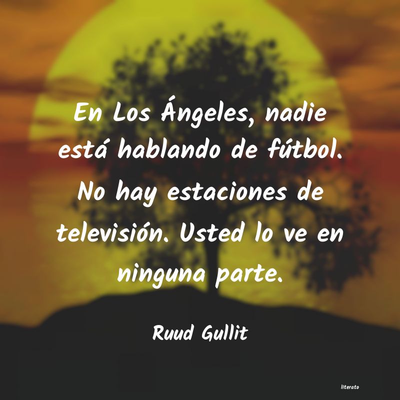 Frases de Ruud Gullit