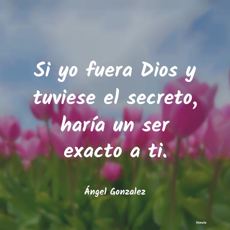 Frases de Ángel Gonzalez