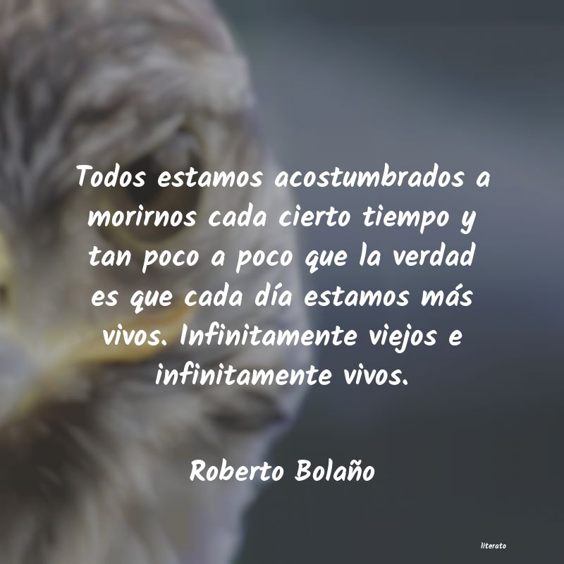 frases de Roberto Bolaño