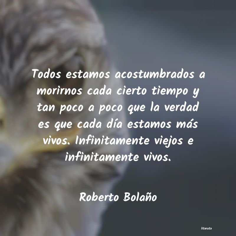 Frases de Roberto Bolaño