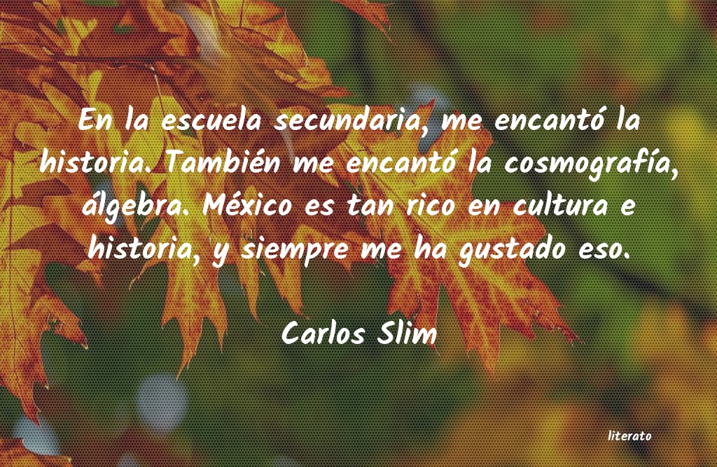 Frases de Carlos Slim