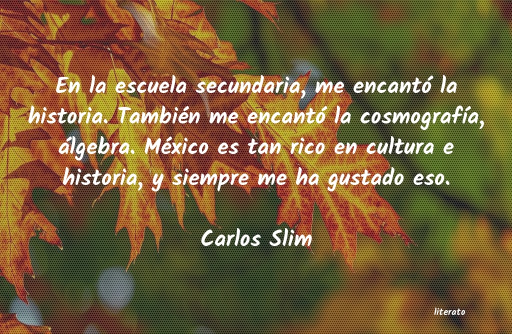 frases de Carlos Slim