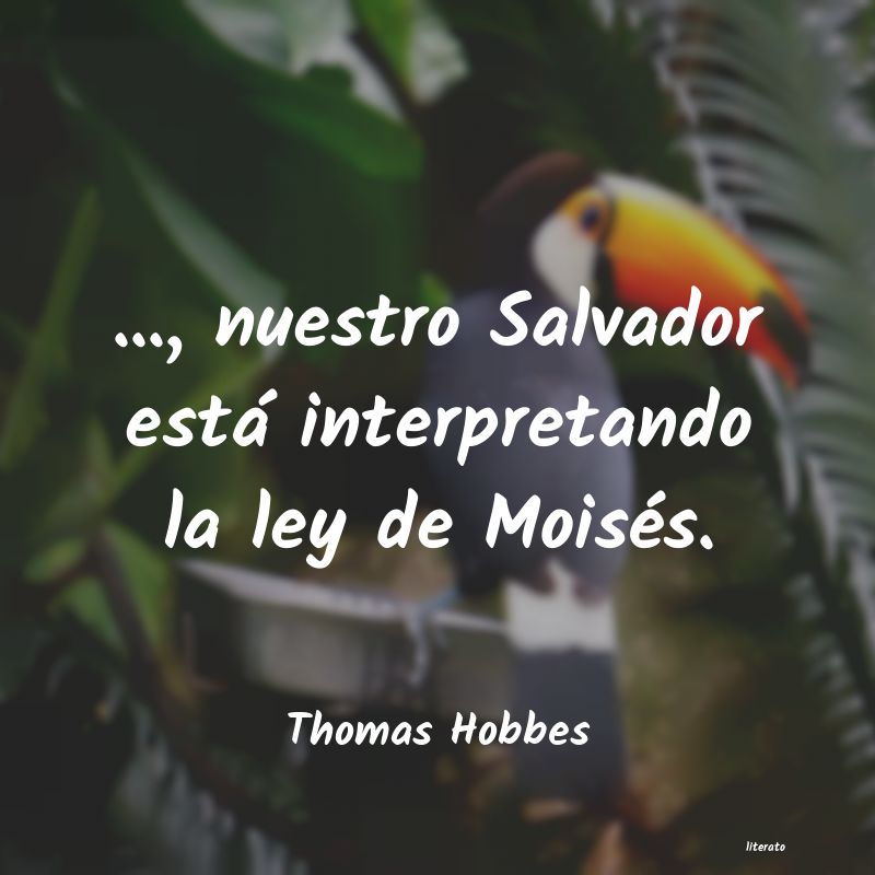 Frases de Thomas Hobbes