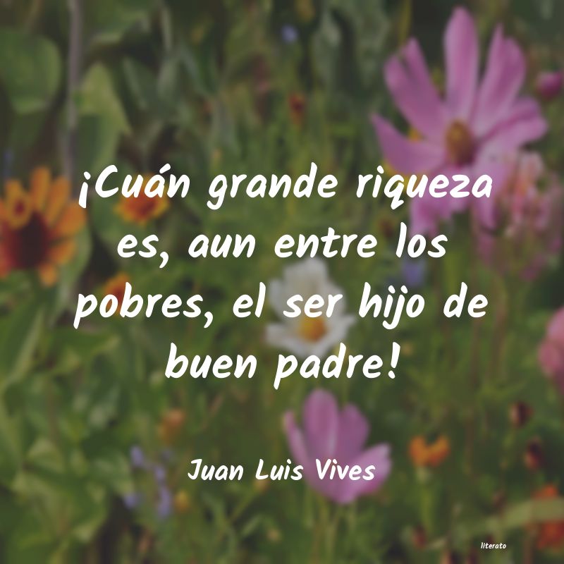 Frases de Juan Luis Vives