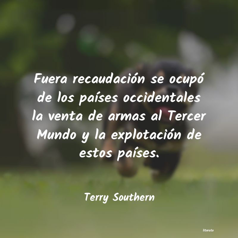 frases de Terry Southern