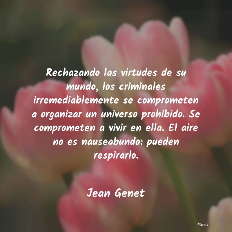 Frases de Jean Genet