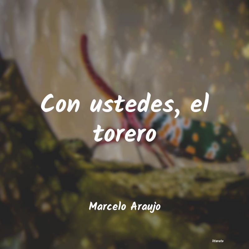 Frases de Marcelo Araujo