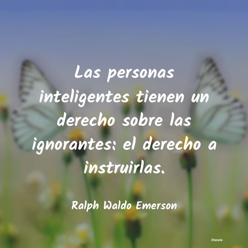 frases para personas ignorantes