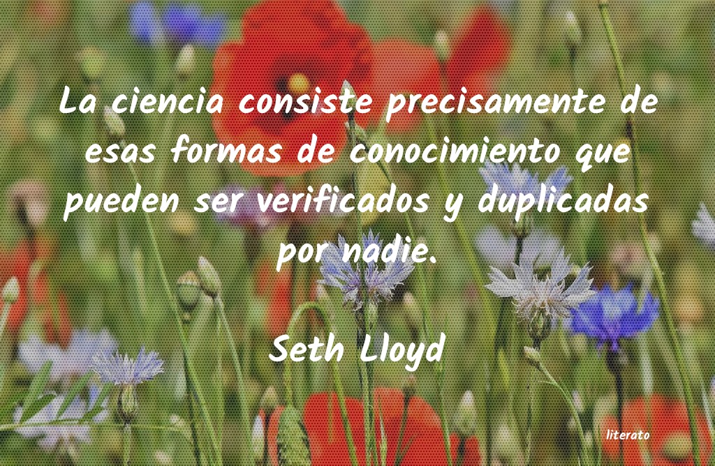 Frases de Seth Lloyd