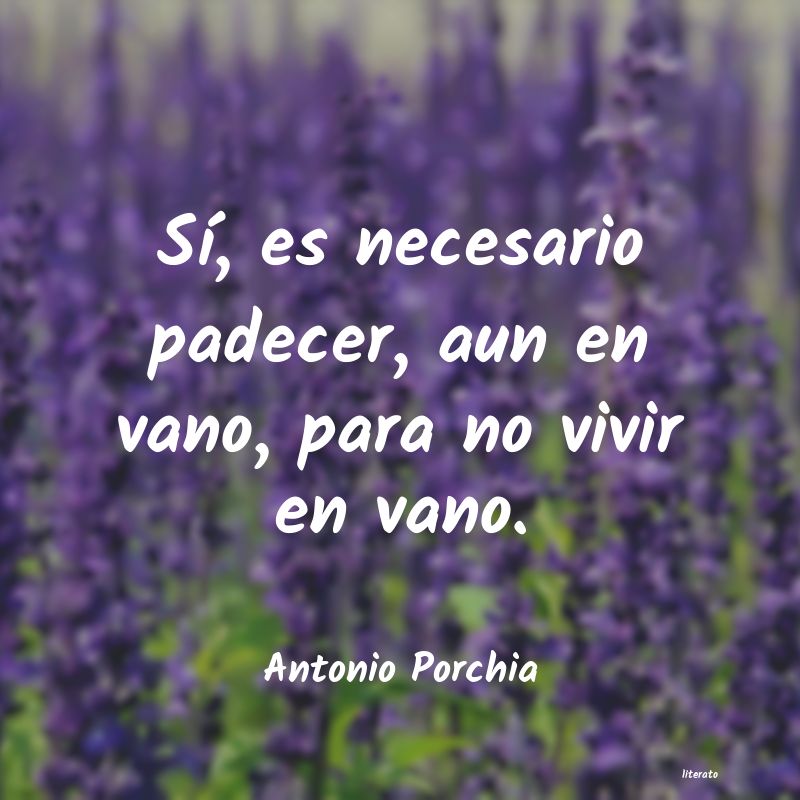 Frases de Antonio Porchia