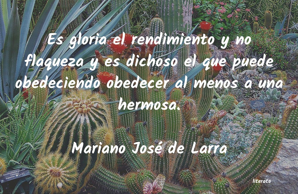 frases de Mariano José de Larra