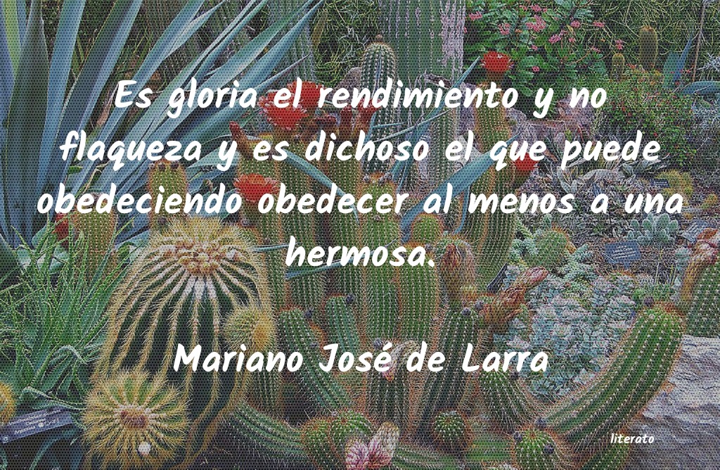 Frases de Mariano José de Larra