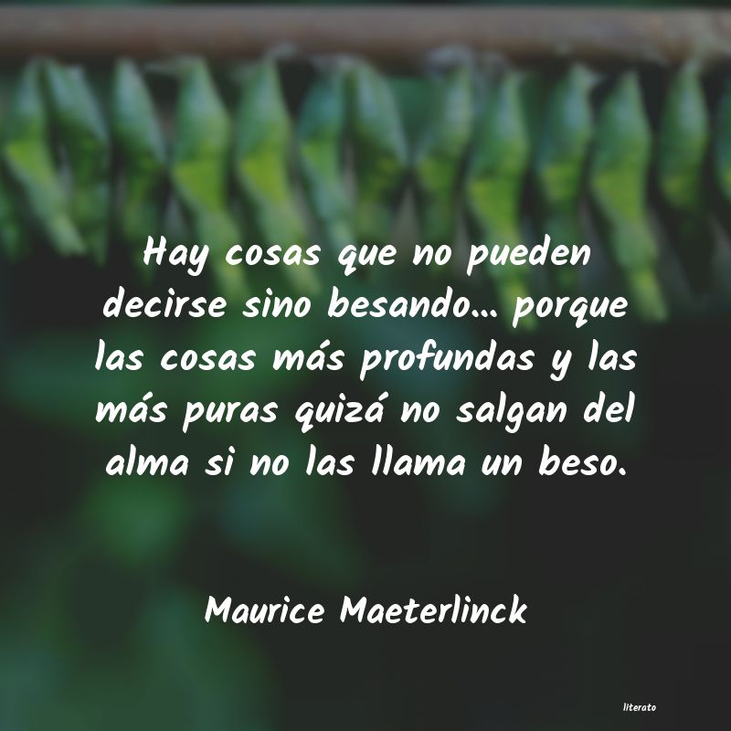 Frases de Maurice Maeterlinck