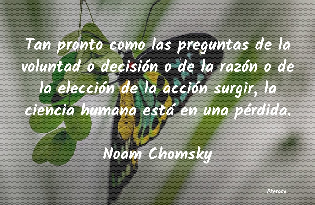 Frases de Noam Chomsky