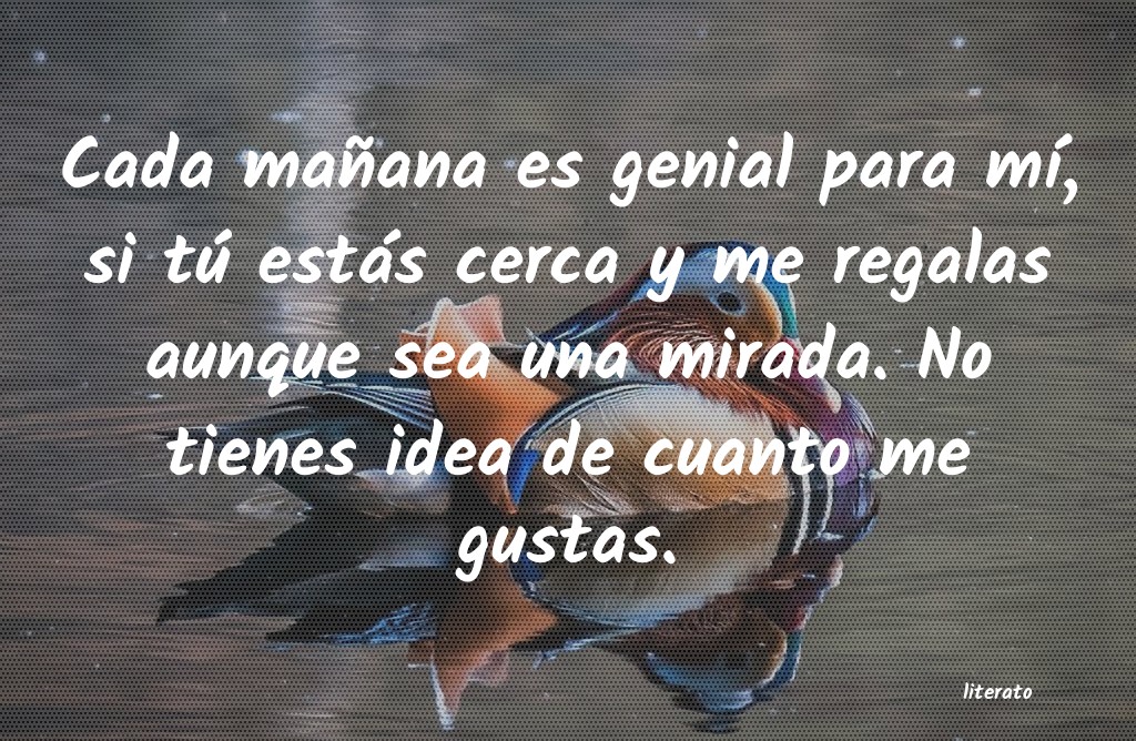 frases
