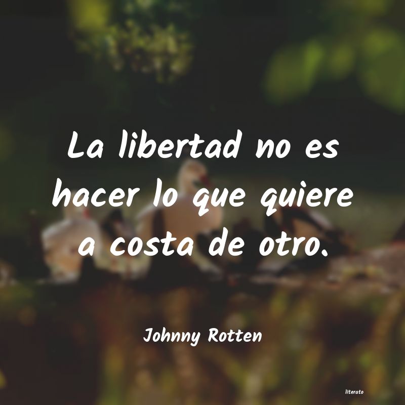 Frases de Johnny Rotten