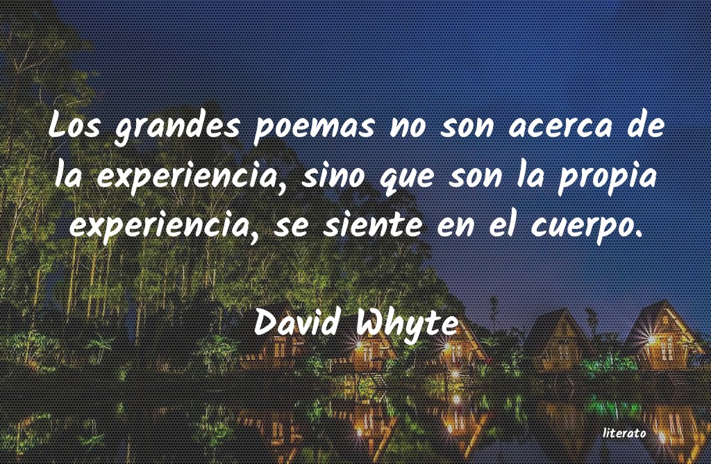 frases de David Whyte
