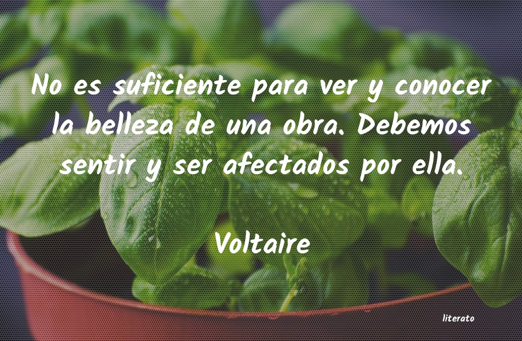 frases de Voltaire