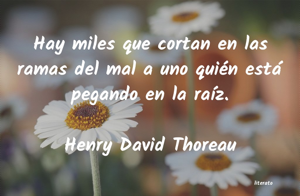 Frases de Henry David Thoreau