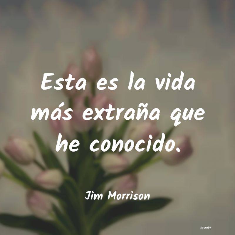 Frases de Jim Morrison