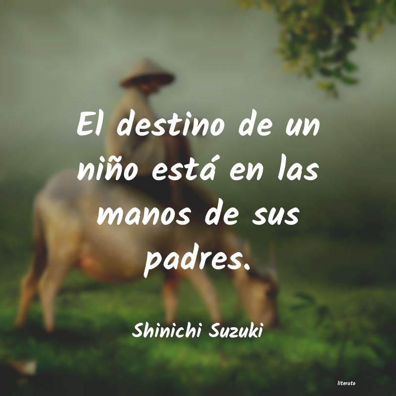 Frases de Shinichi Suzuki