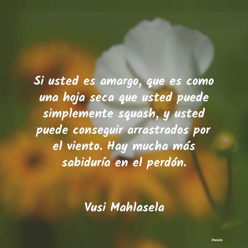 frases de Vusi Mahlasela