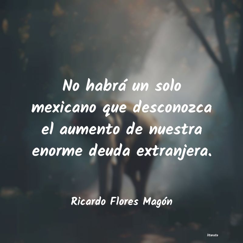 Frases de Ricardo Flores Magón