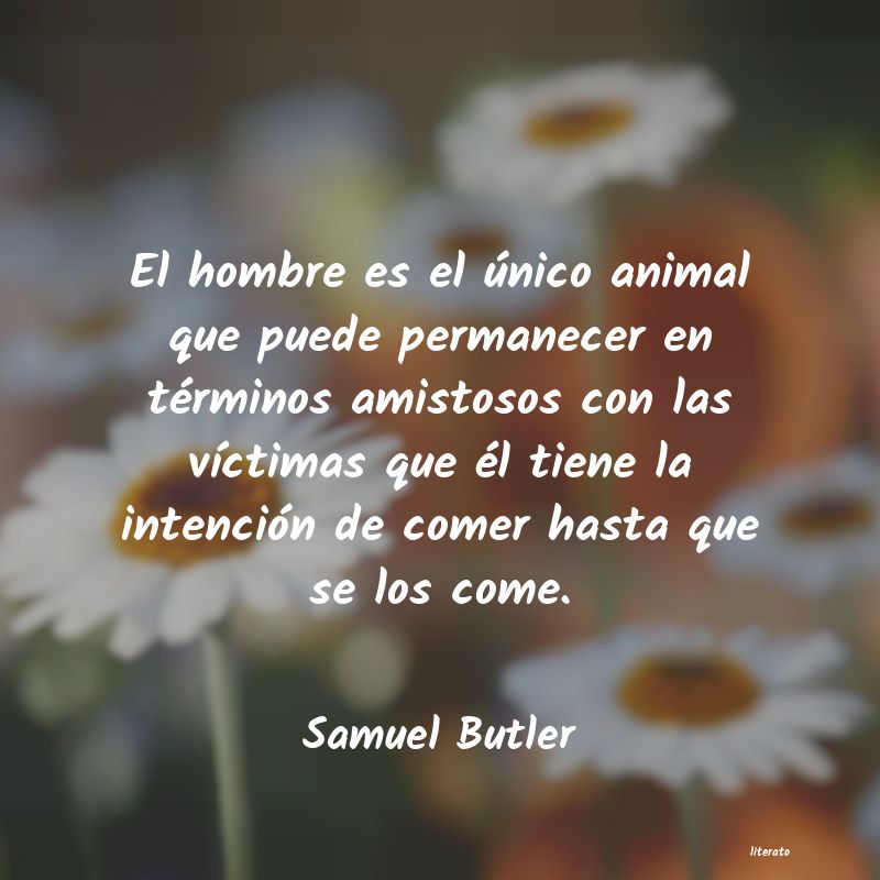 Frases de Samuel Butler