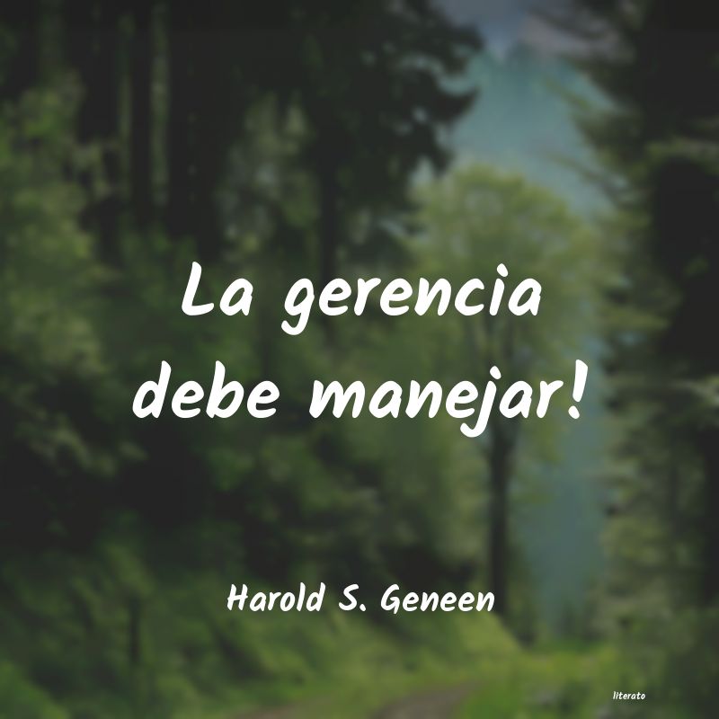 Frases de Harold S. Geneen