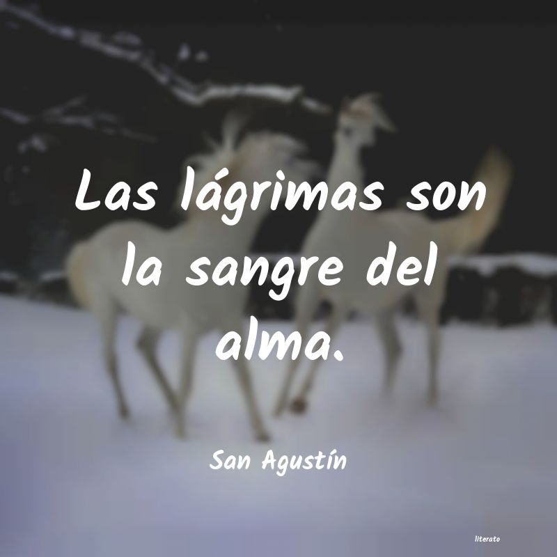 Frases de San Agustín