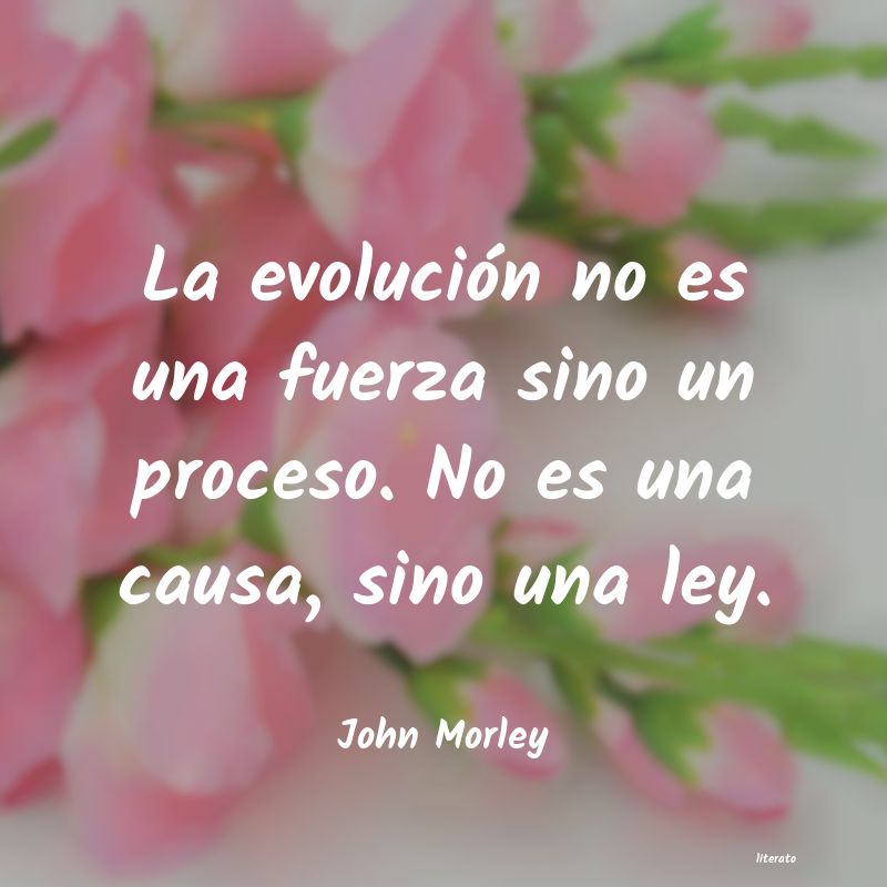 frases de John Morley