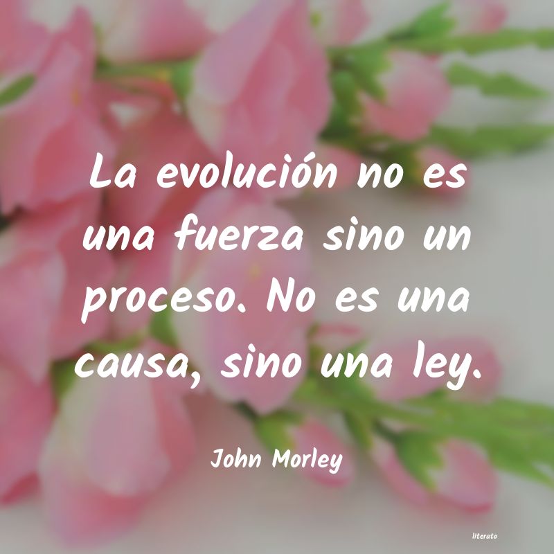 Frases de John Morley