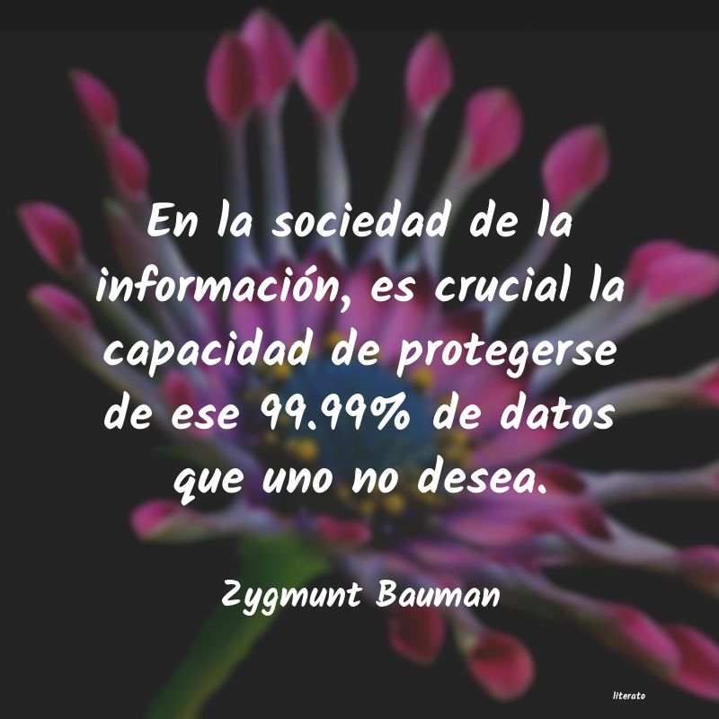 frases de Zygmunt Bauman