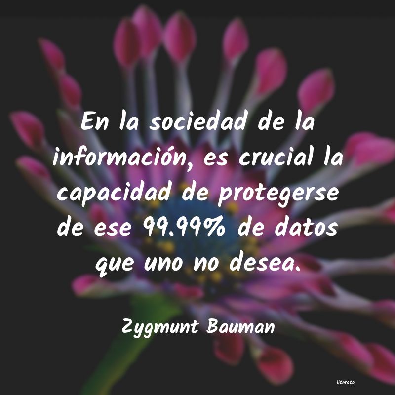 Frases de Zygmunt Bauman